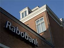 Alles over geld lenen bij Rabobank: Advies en Opties
