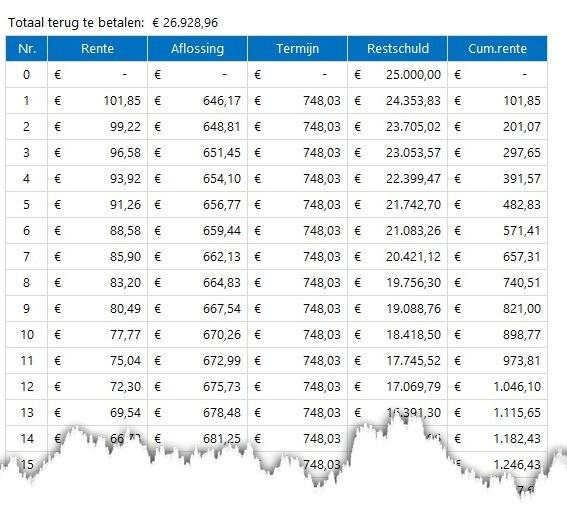 Alles wat u moet weten over het lenen van geld: tips en advies